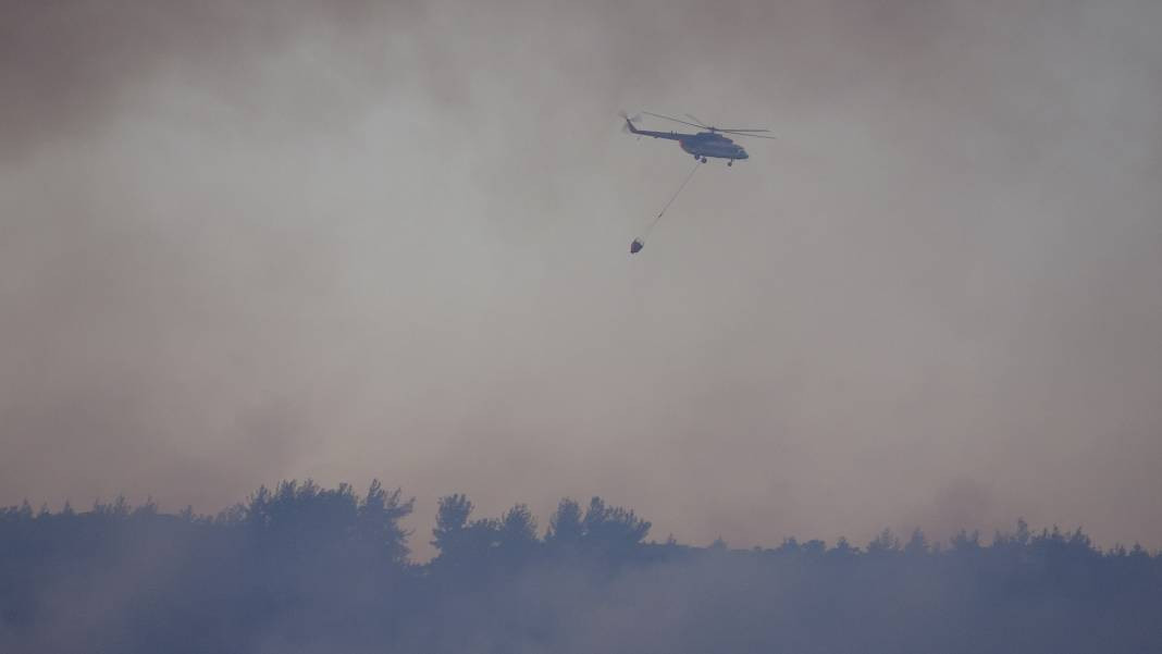 Çanakkale'deki Tarihi Alan'ın güney hattı ziyarete açıldı! Orman yangınında kapatılmıştı - Resim: 34